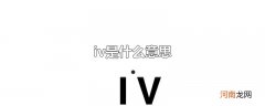 iv是什么意思