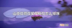 山茶花荷花菊花桃花怎么排序