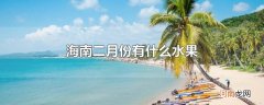 海南二月份有什么水果
