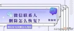 微信好友误删怎么找回 微信不小心删错人了怎么找回