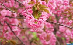 安全教育诗歌大全 关于安全教育诗歌