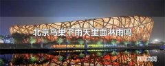 北京鸟巢下雨天里面淋雨吗