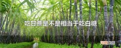 吃甘蔗是不是相当于吃白糖
