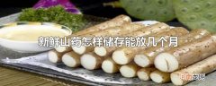 新鲜山药怎样储存能放几个月