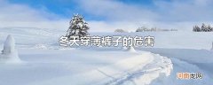 冬天穿薄裤子的危害