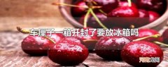 车厘子一箱开封了要放冰箱吗