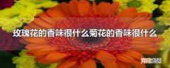 玫瑰花的香味很什么菊花的香味很什么