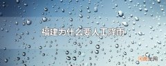 福建为什么要人工降雨