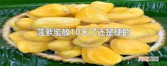 菠萝蜜放10天了还是硬的