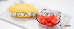 西瓜和芒果哪个不是热带水果