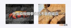 什么动物猜拳永远不会有输赢