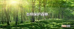怎样保护森林