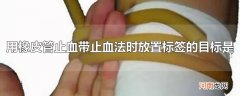 用橡皮管止血带止血法时放置标签的目标是