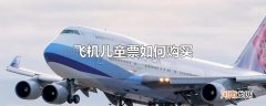 飞机儿童票如何购买