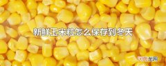 新鲜玉米粒怎么保存到冬天