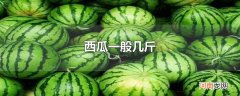 西瓜一般几斤