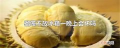 榴莲不放冰箱一晚上会坏吗
