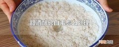 甜酒酿长白毛怎么处理