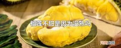 榴莲不甜是因为没熟吗