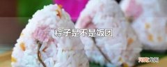 粽子是不是饭团