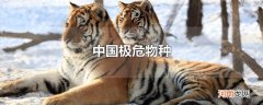 中国极危物种