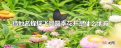 猜地名蜂蝶飞舞四季花开是什么地方