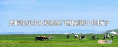 去呼伦贝尔大草原坐飞机到哪个机场下