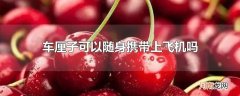 车厘子可以随身携带上飞机吗