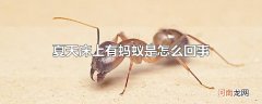 夏天床上有蚂蚁是怎么回事