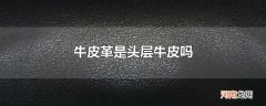 牛皮革是头层牛皮吗