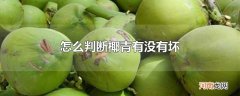 怎么判断椰青有没有坏