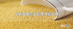小米生虫怎么处理才能食用