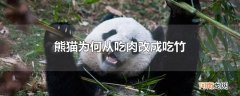 熊猫为何从吃肉改成吃竹