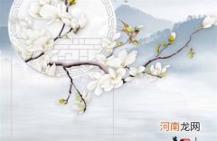好听创意的文化传媒公司名字大全 吉利洋气的企业取名