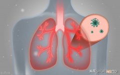 气管和肺的连接处叫什么 哪里是气管