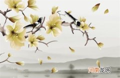 教育培训机构排名简单吉利的公司名字大全