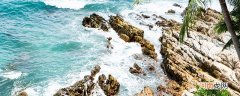 我国面积最大的海域 我国面积最大的海域是哪个