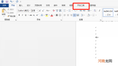 word开发工具选项卡在哪