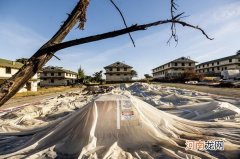 美联社：美国疾控中心介入调查美军基地污染导致军人罹患癌症真相