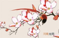 1987年兔本命年2023年十年大运 本命年穿戴什么好