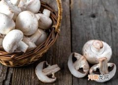 怎样清除口蘑表面的脏东西？怎么辨别口蘑是不是药泡过