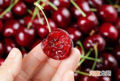 车厘子是新西兰的好还是智利的好？车厘子的甜度和温度有关吗