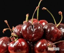 车厘子很新鲜但是发苦怎么办？车厘子在零下20度会冻坏吗