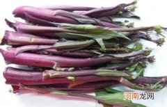 红菜苔和紫菜苔一样吗 红菜苔的花是发物吗