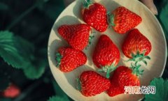 吃草莓可以改善便秘吗 吃草莓会拉红色大便吗