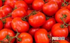 每天一个西红柿真的可以美白吗 每天晚上生吃西红柿好吗