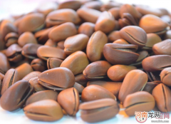 吃松子有哪些健康功效，每天吃多少松子合适？