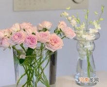 醒花后期怎么养护？鲜花醒花步骤
