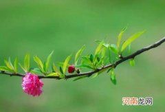 2022倒春寒在哪个节气？2022倒春寒会下雨吗