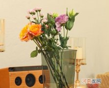 醒花是花头还是枝泡？醒花的时候要不要放保鲜剂